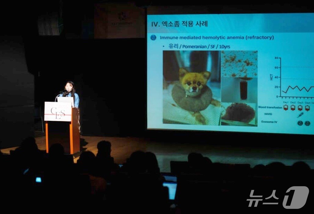 본문 이미지 - 임가현 수의사가 14일 열린 &#39;벳아너스 증례 교류 심포지엄&#39;에서 발표를 하고 있다&#40;벳아너스 제공&#41;. ⓒ 뉴스1