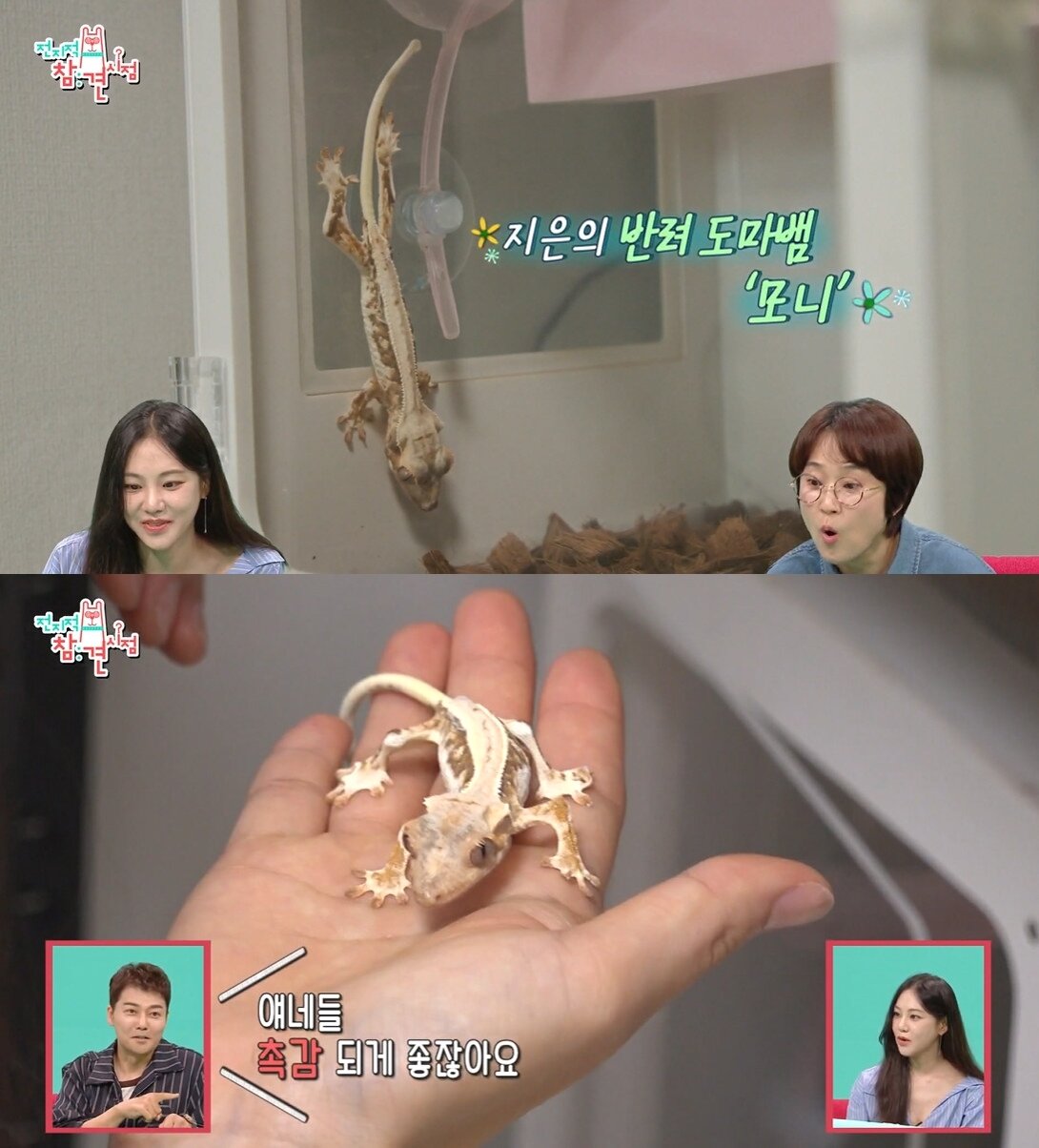 본문 이미지 - MBC