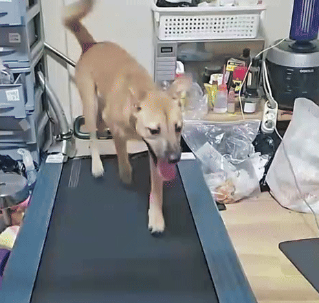 본문 이미지 - (SNS 갈무리)