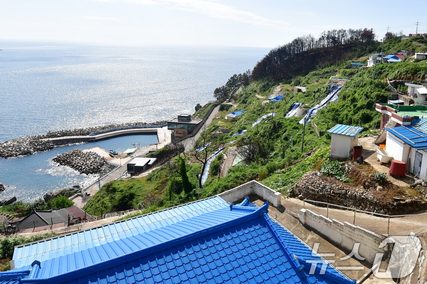 본문 이미지 - 16일 경북 영덕 산불 피해지역인 석리 마을(알명 따개비 마을)에 철거작업이 끝난 집터 위에 방수천이 설치돼 있다. 2025.9.16/뉴스1 ⓒ News1 최창호 기자