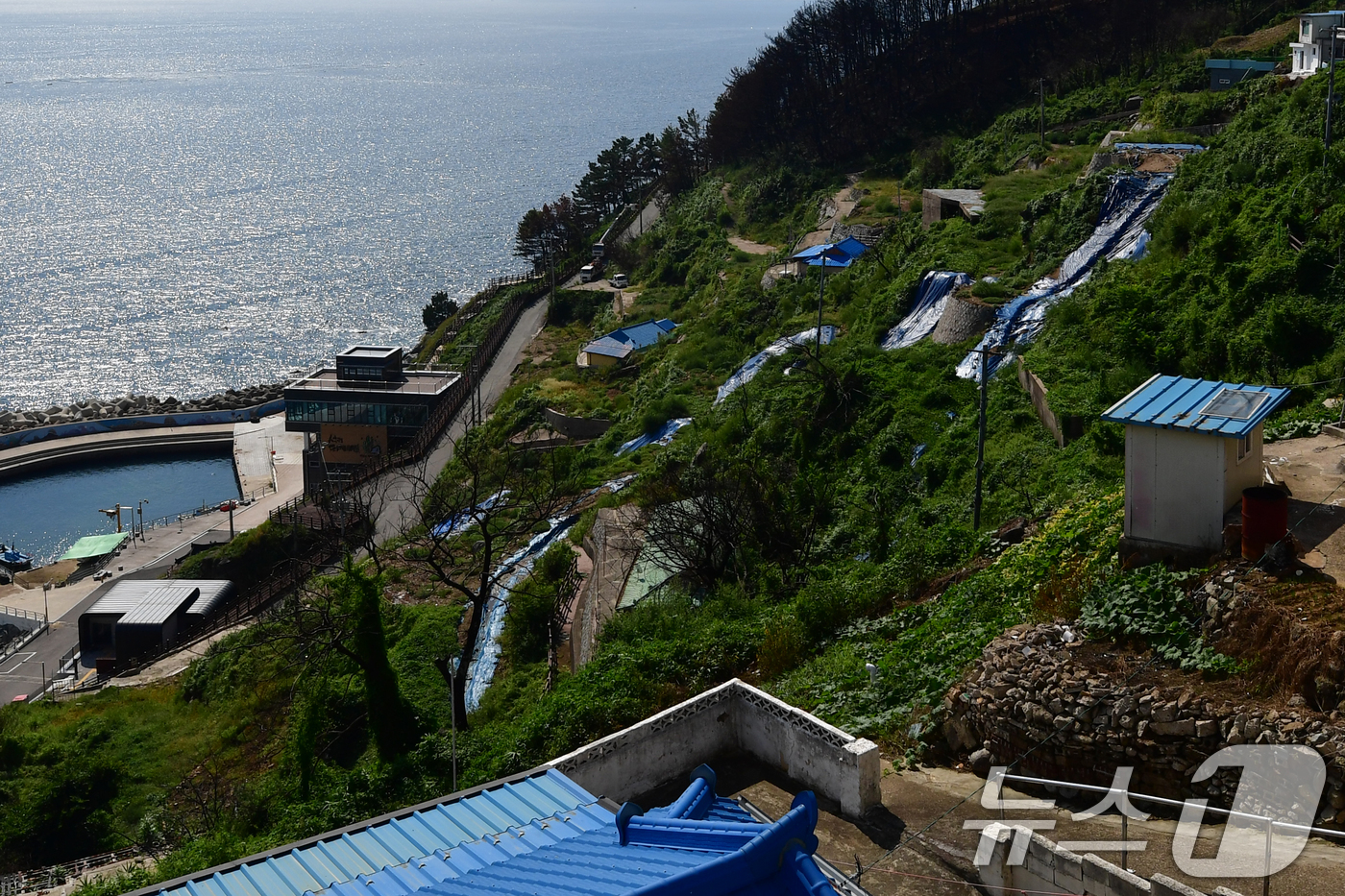 (영덕=뉴스1) 최창호 기자 = 16일 경북 영덕 산불 피해지역인 석리 마을(알명 따개비 마을)에 철거작업이 끝난 집터 위에 방수천이 설치돼 있다.영덕 산불은 올 3월 22일 경 …