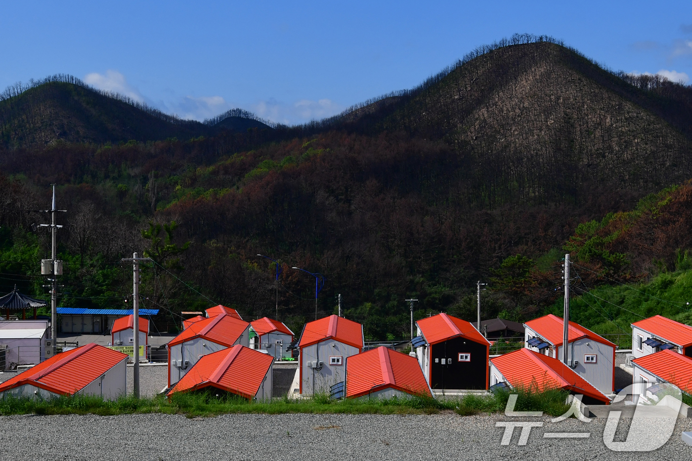 (영덕=뉴스1) 최창호 기자 = 16일 경북 영덕 괴물산불 피해지역인 석리 마을 공터에 마련된 산불이재민임시숙소 맞은편에 검게 탄 산이 당시 상황을 설명해주고 있다.영덕 산불은 올 …