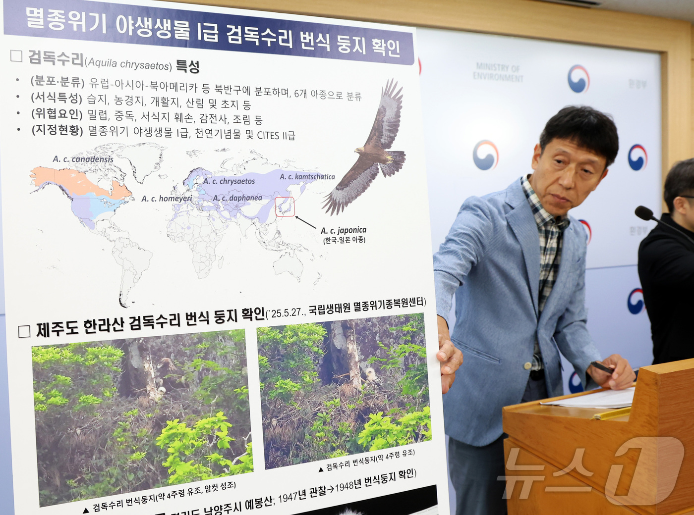 (세종=뉴스1) 김기남 기자 = 정길상 국립생태원 복원연구실장이 지난 16일 세종시 정부세종청사 환경부에서 멸종위기종 Ⅰ급 검독수리 번식 둥지를 제주도에서 77년 만에 확인한 내용 …