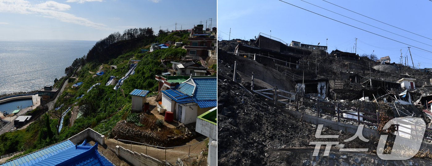 (영덕=뉴스1) 최창호 기자 = 16일 경북 영덕군괴물산불피해지역인 영덕읍 석리마을(일명 따개비마을)에서 불에 탄 주택들이 철거된 후 방수포로 덮여있다. (사진 오른쪽은 불에 탄 …