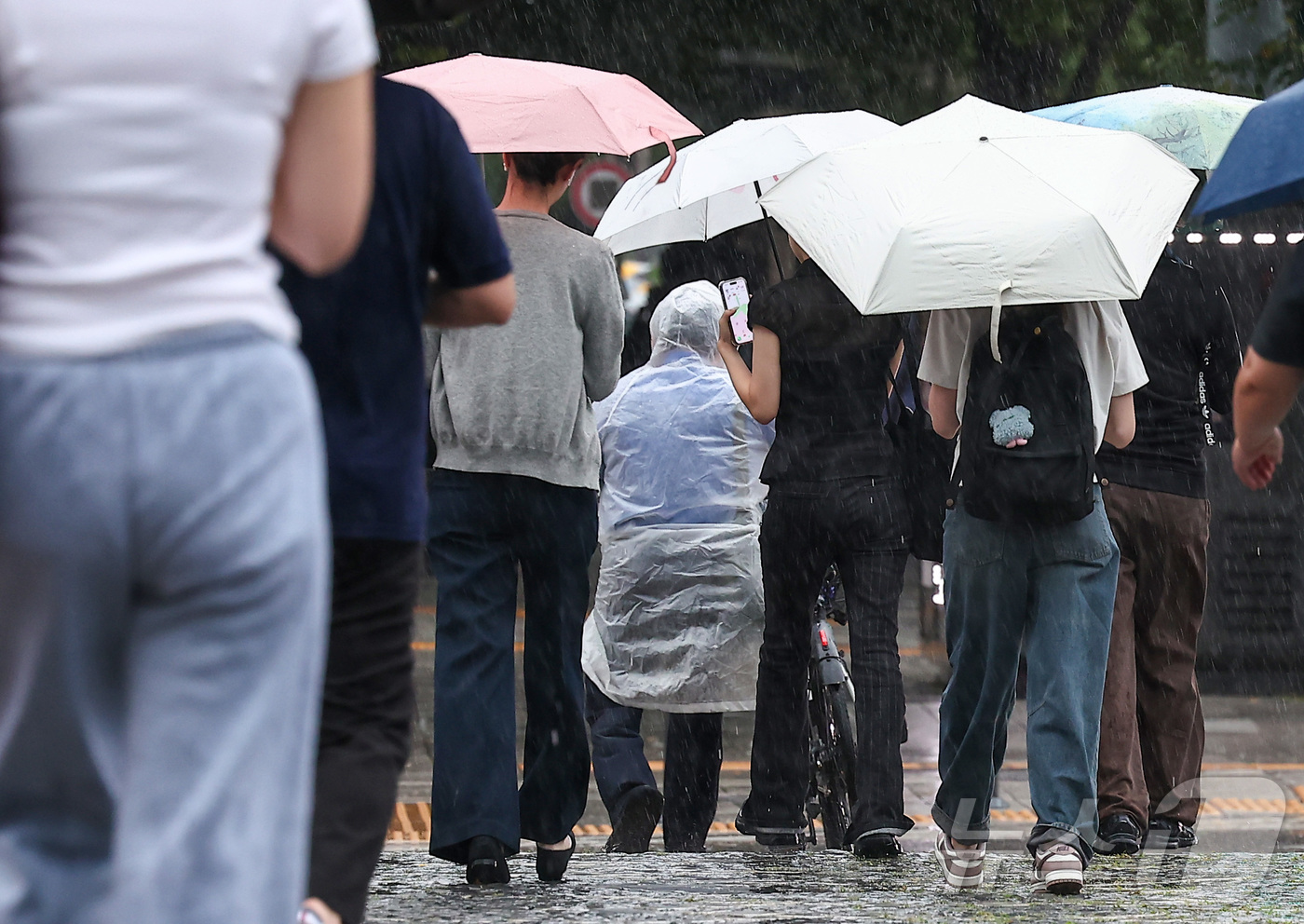 (서울=뉴스1) 김성진 기자 = 비가 쏟아지는 16일 서울 중구 을지로입구역 인근에서 시민들이 우산을 쓰고 이동하고 있다. 2025.9.16/뉴스1