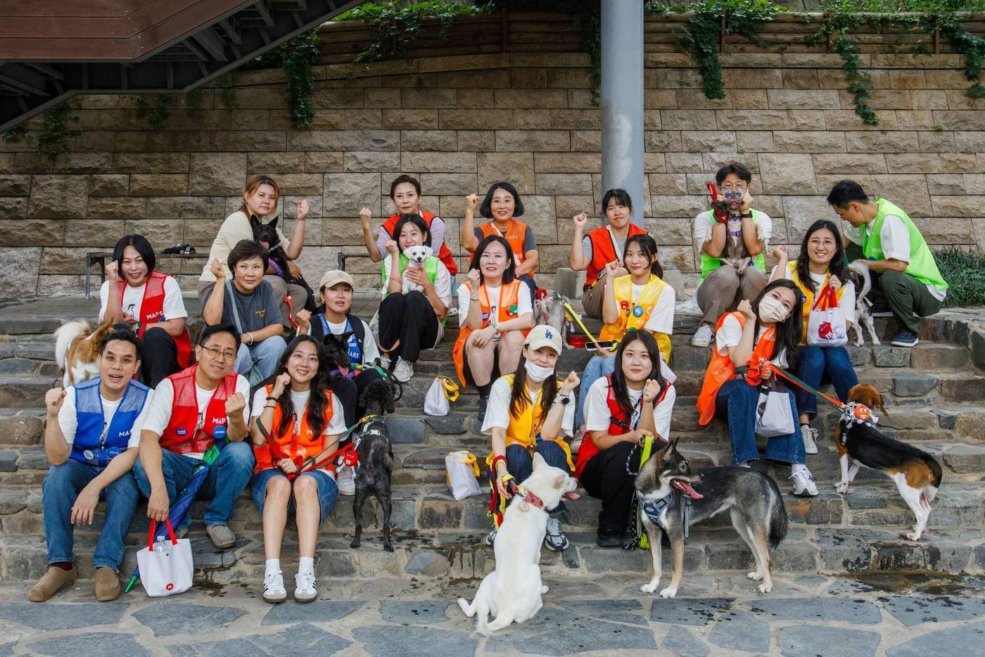 본문 이미지 - 한국마즈 임직원들이 발라당 입양센터 보호견들과 산책 봉사 후 기념 사진을 찍고 있다(한국마즈 제공). ⓒ 뉴스1