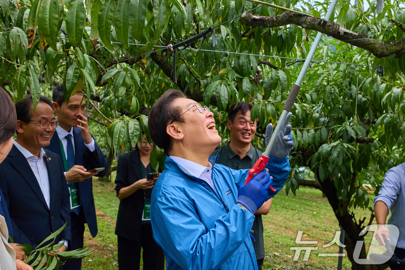 (서울=뉴스1) 허경 기자 = 이재명 대통령이 16일 세종시 전동면 조일농원 복숭아 농장을 방문해 가지치기 체험을 하고 있다. (대통령실 제공. 재판매 및 DB 금지) 2025.9 …