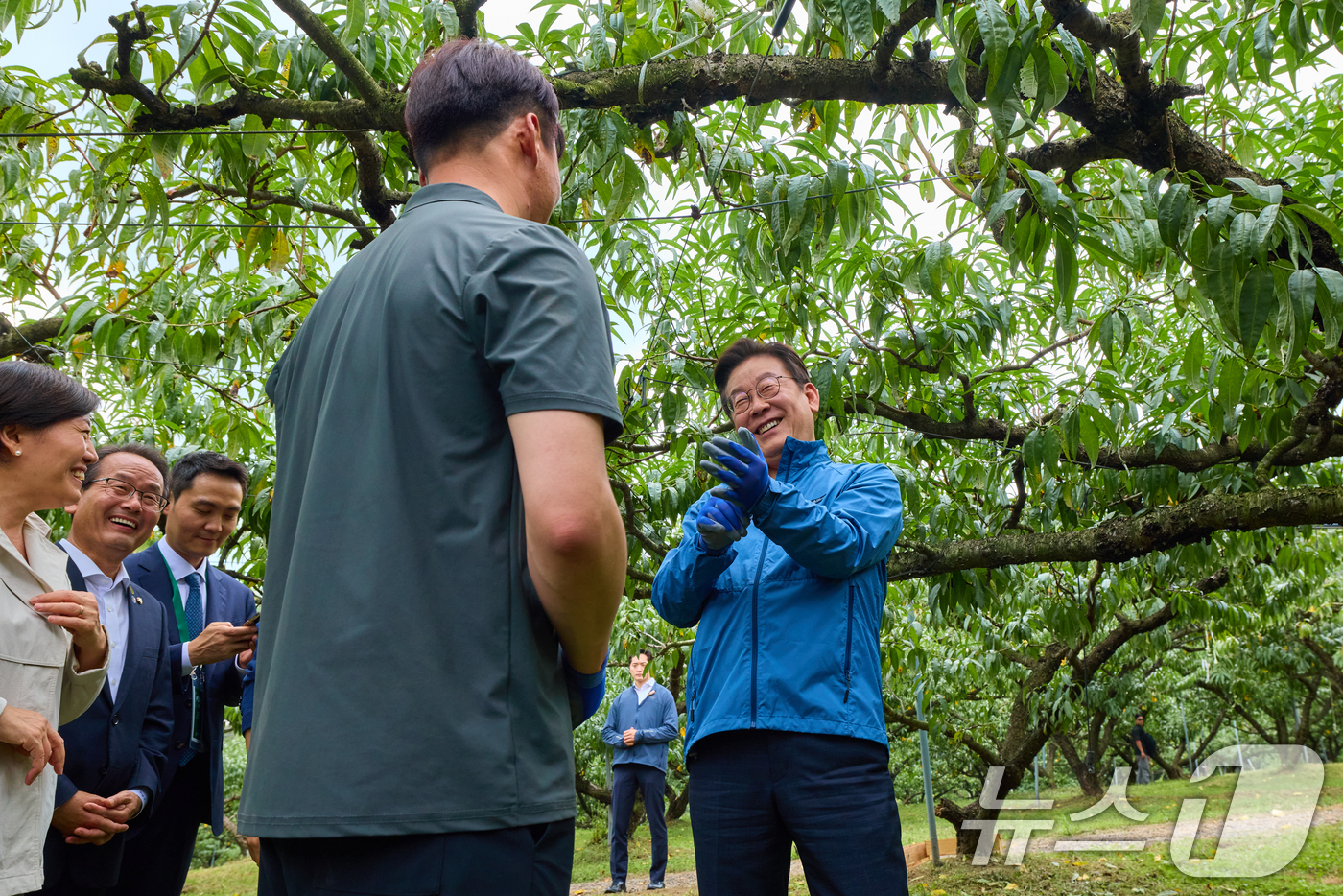 (서울=뉴스1) 허경 기자 = 이재명 대통령이 16일 세종시 전동면 조일농원 복숭아 농장을 방문해 가지치기 체험을 하고 있다. (대통령실 제공. 재판매 및 DB 금지) 2025.9 …