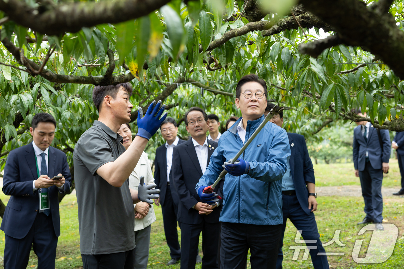 (서울=뉴스1) 허경 기자 = 이재명 대통령이 16일 세종시 전동면 조일농원 복숭아 농장을 방문해 가지치기 체험을 하고 있다. (대통령실 제공. 재판매 및 DB 금지) 2025.9 …