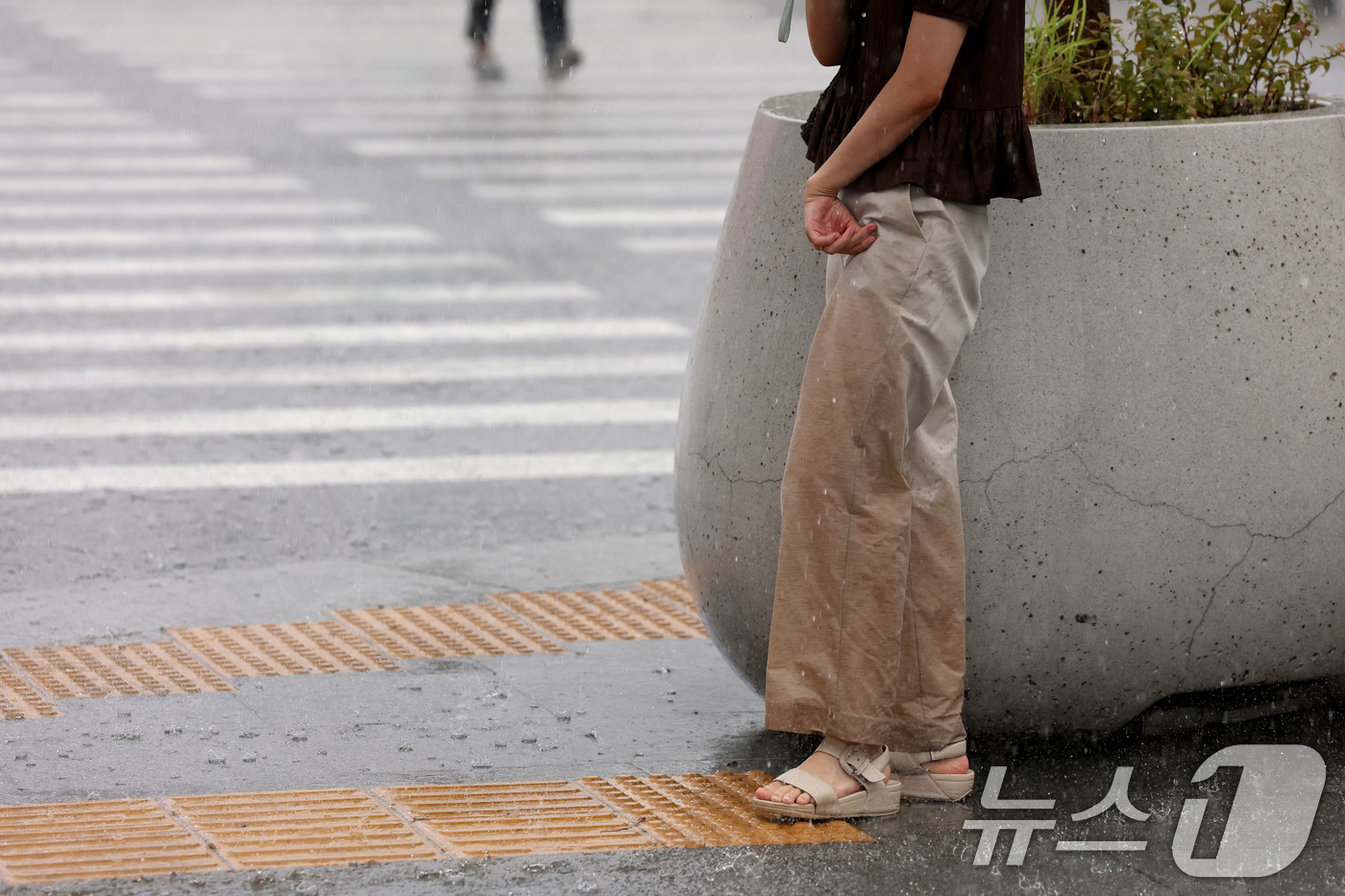 (서울=뉴스1) 이광호 기자 = 전국 대부분 지역에 비가 내리며 서울과 경기북부 등에 호우특보가 발효중인 17일 서울 종로구 광화문네거리에서 우산을 쓴 한 시민이 보행신호를 기다리 …