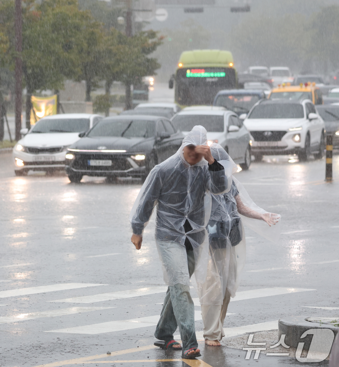 (전주=뉴스1) 유경석 기자 = 17일 전북 전주시 효자로에서 우비를 착용한 시민들이 발걸음을 재촉하고 있다. 2025.9.17/뉴스1