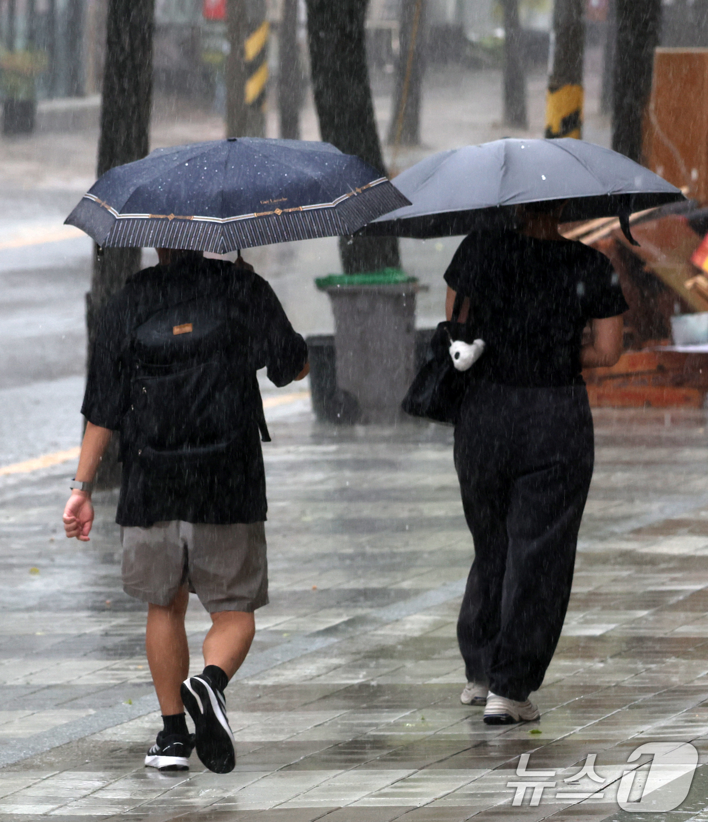 (전주=뉴스1) 유경석 기자 = 17일 전북 전주시 효자로에서 우산을 쓴 시민들이 발걸음을 재촉하고 있다. 2025.9.17/뉴스1