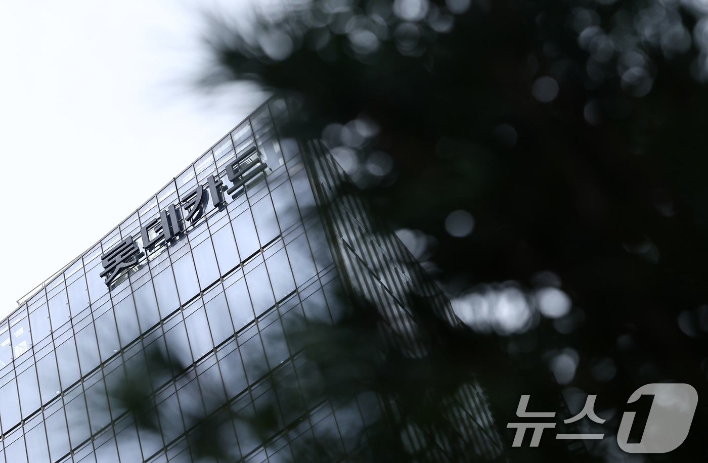 (서울=뉴스1) 김성진 기자 = 회원 960만여명을 보유한 롯데카드의 '해킹 사고' 피해 규모가 예상보다 훨씬 큰 것으로 파악되면서 파장이 커지고 있다.17일 금융권에 따르면 롯데 …