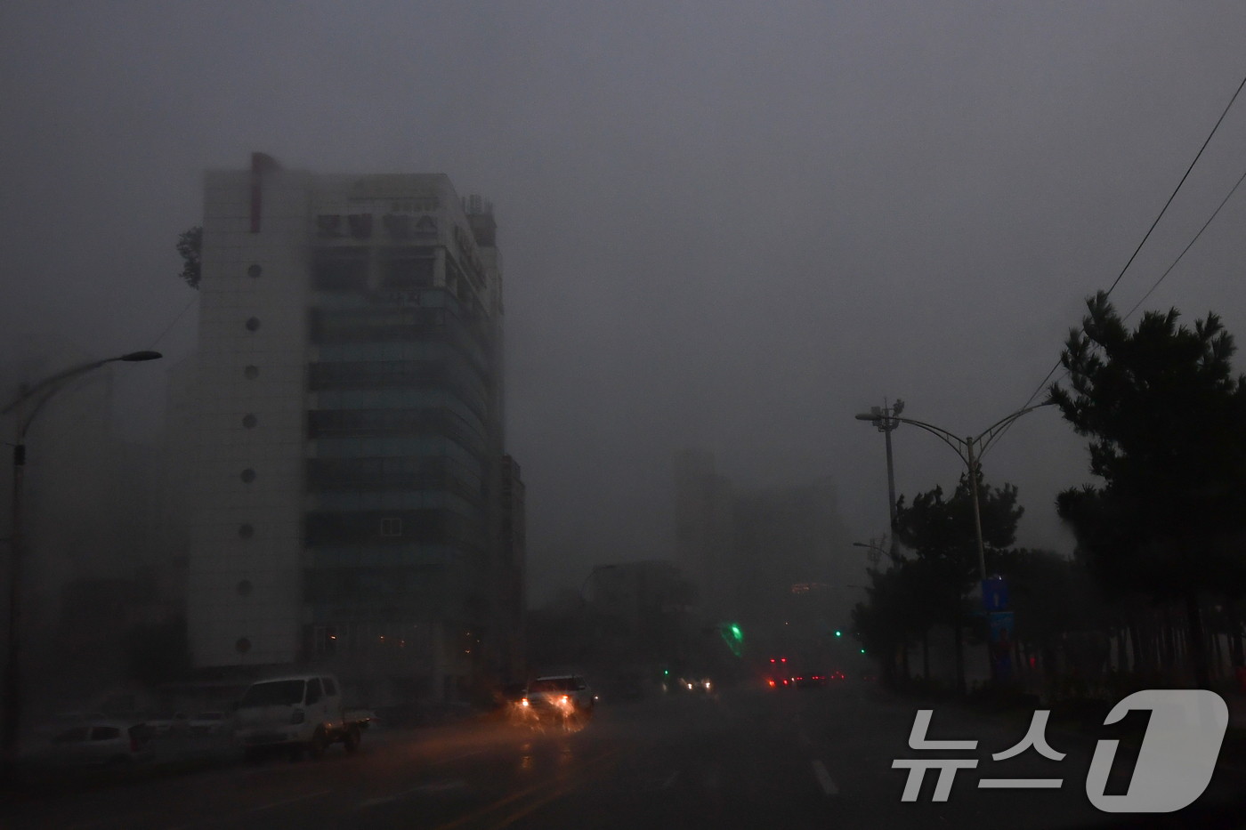 (포항=뉴스1) 최창호 기자 = 17일 오후 3시20분쯤 경북 포항시 전역에 국지성 소나기가 쏟아지고 있다.  2025.9.17/뉴스1