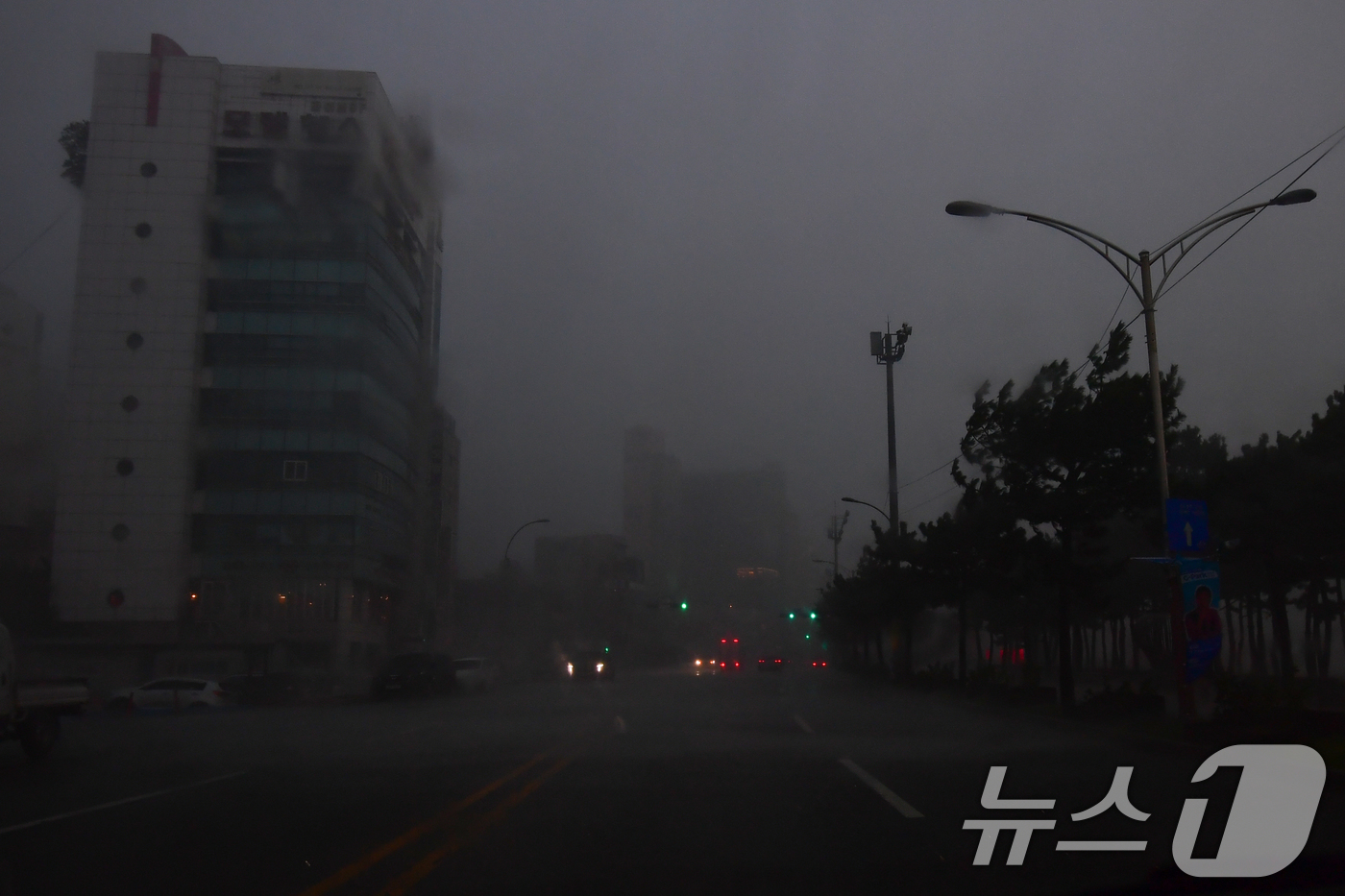 (포항=뉴스1) 최창호 기자 = 17일 오후 3시20분쯤 경북 포항시 전역에 국지성 소나기가 쏟아지고 있다. 2025.9.17/뉴스1