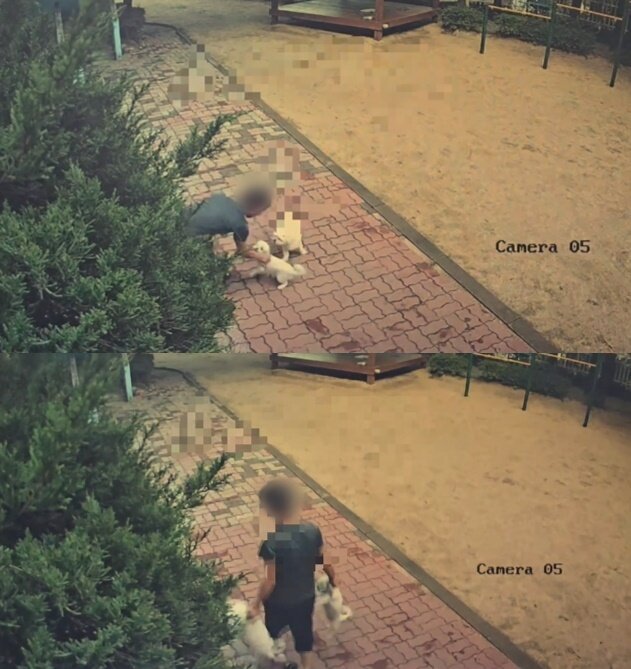 본문 이미지 - &#40;보배드림 갈무리&#41;