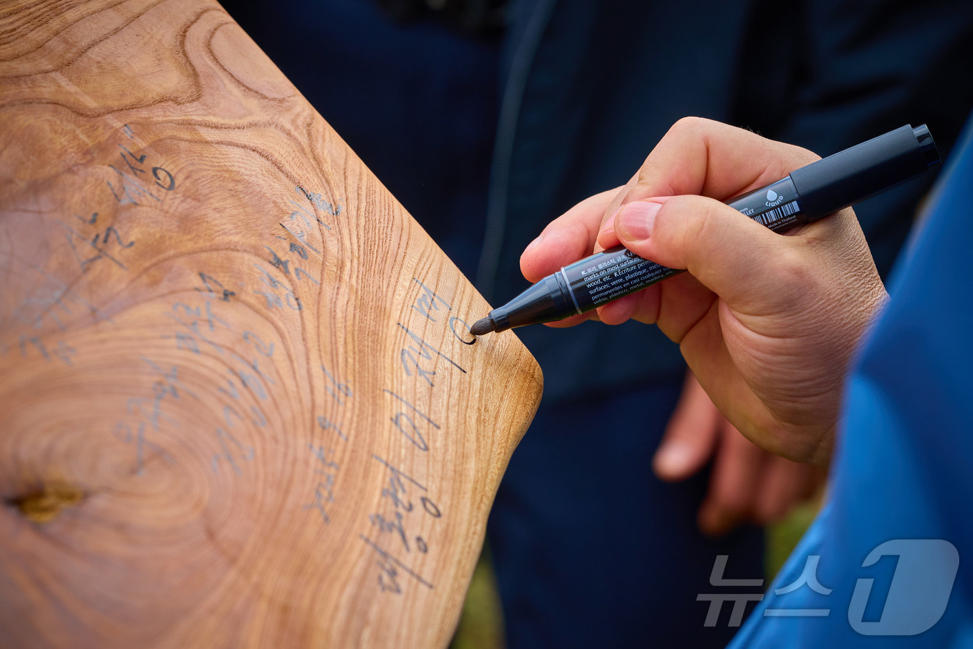 (서울=뉴스1) 이재명 기자 = 이재명 대통령이 지난 16일 세종시 전동면 조일농원에서 청년 농업 현장방문 중 목판에 사인을 하고 있다. (이재명 대통령 SNS. 재판매 및 DB …