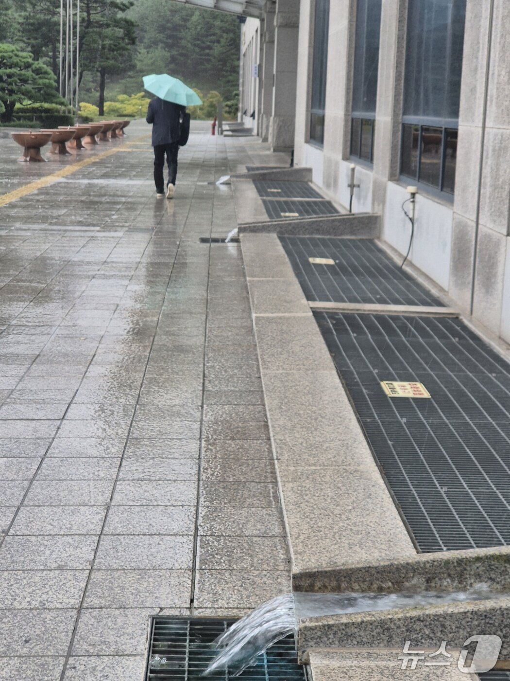 본문 이미지 - 강원 강릉에 호우주의보가 발효된 17일 오후 강릉시청 우수받이에 빗물이 흘러나오고 있다. 2025.9.17/뉴스1 윤왕근 기자