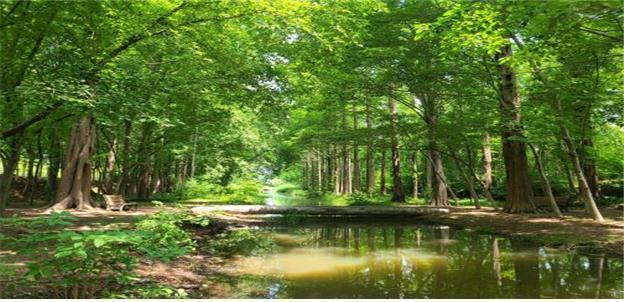 경북도, 산림청 목재문화지수 평가 '우수'…목재산업 정책 성과