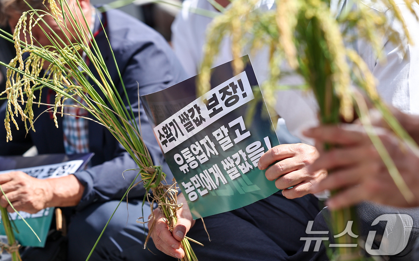 (서울=뉴스1) 김성진 기자 = 전국농민회총연맹 관계자들이 18일 서울 용산구 서울역 앞에서 열린 수확기 쌀값 보장 전국 농민대회에서 손피켓을 들고 자리하고 있다. 2025.9.1 …