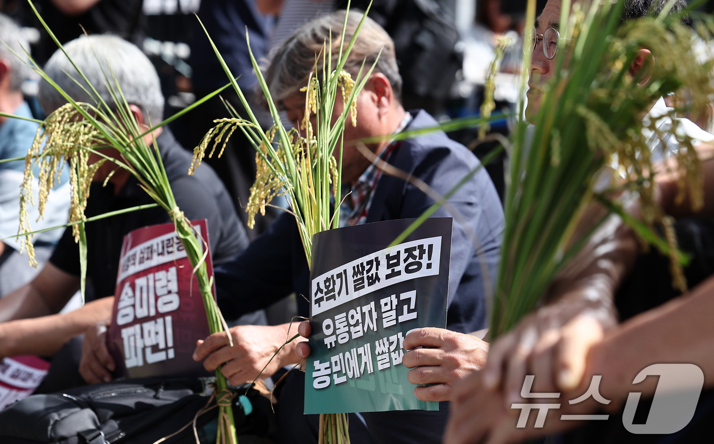 (서울=뉴스1) 김성진 기자 = 전국농민회총연맹 관계자들이 18일 서울 용산구 서울역 앞에서 열린 수확기 쌀값 보장 전국 농민대회에서 손피켓을 들고 자리하고 있다. 2025.9.1 …