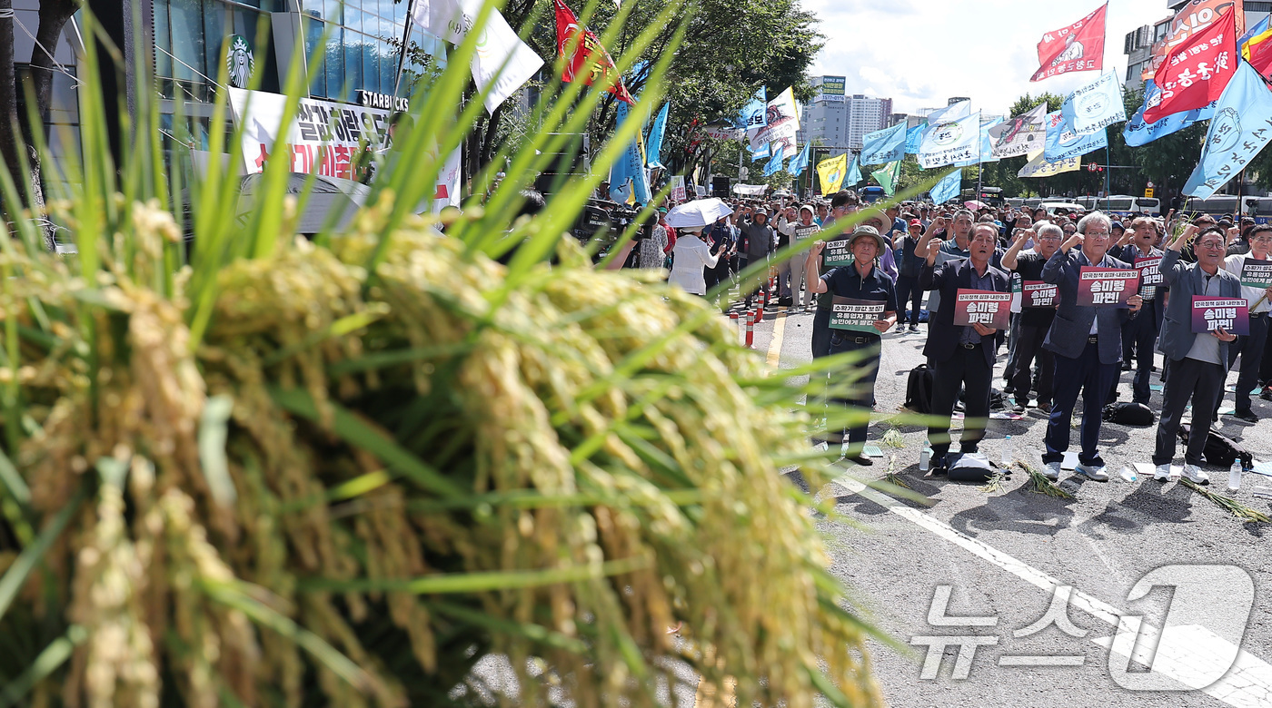 (서울=뉴스1) 김성진 기자 = 전국농민회총연맹 관계자들이 18일 서울 용산구 서울역 앞에서 열린 수확기 쌀값 보장 전국 농민대회에서 손피켓을 들고 구호를 외치고 있다. 2025. …