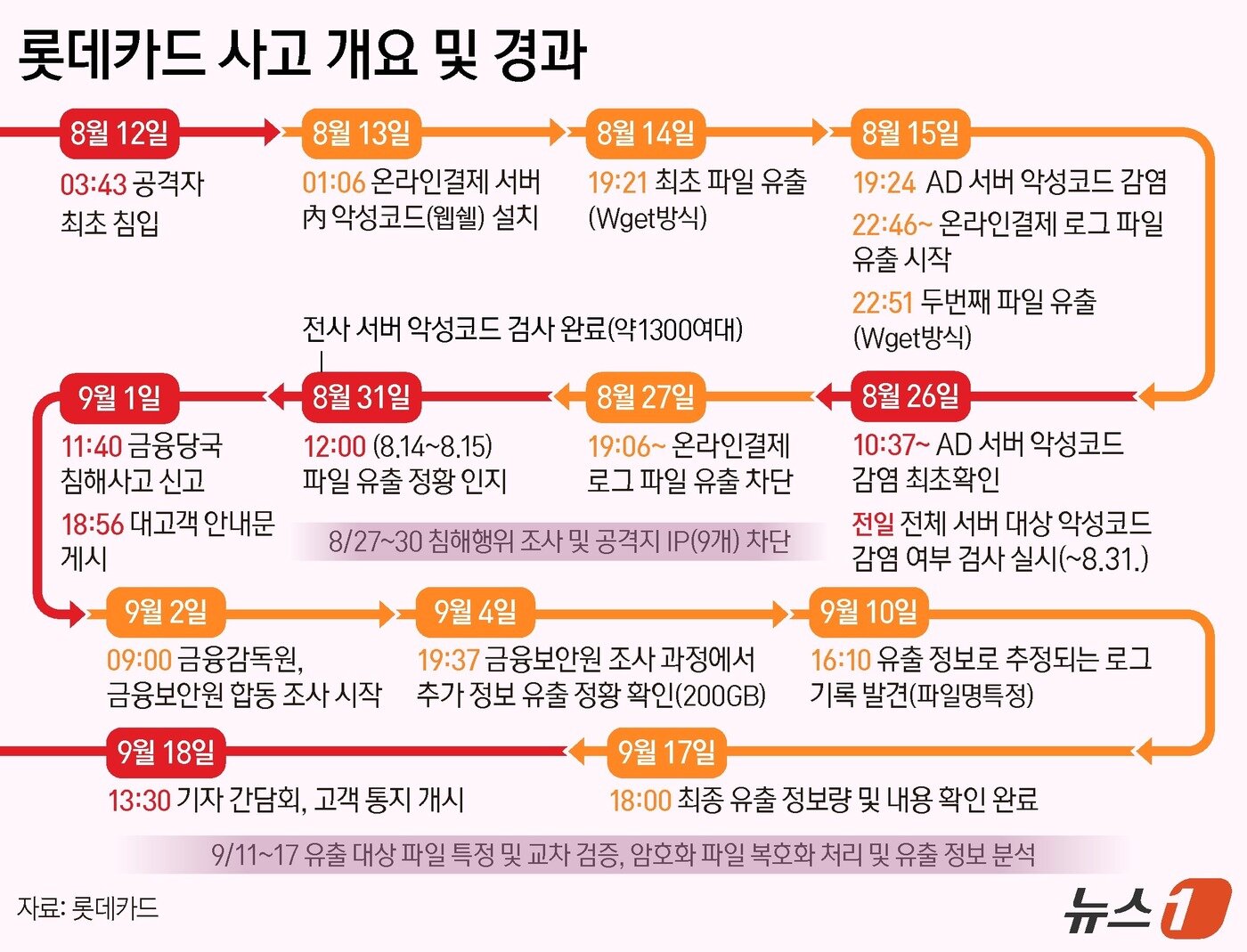 본문 이미지 - ⓒ News1 양혜림 디자이너