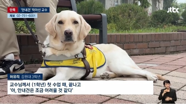 "안내견은 좀, 다른 학생 수업 방해"…강의실 출입 막은 국립대 교수