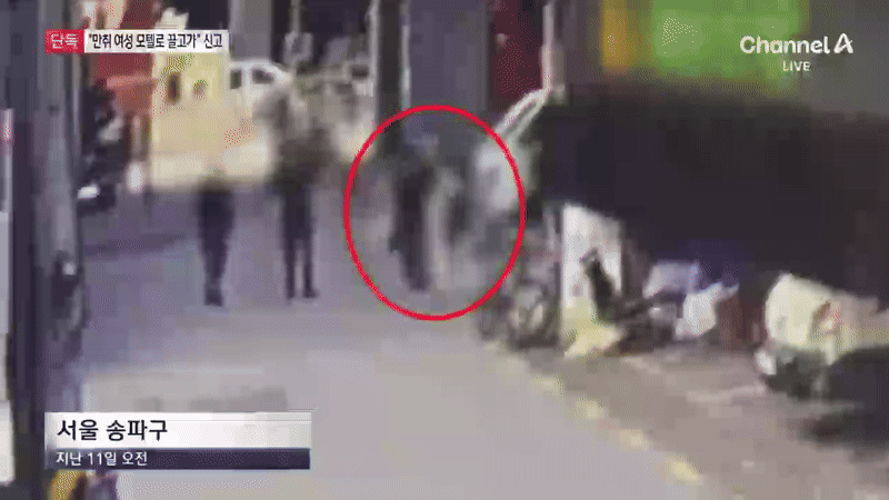 본문 이미지 - (채널A 갈무리)