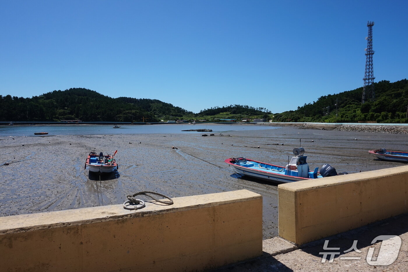 본문 이미지 - 대육마을 앞 갯벌 풍경. 건너편이 대마 2구 대막마을이다. 2025.9.19/뉴스1 ⓒ News1 조영석 기자 
