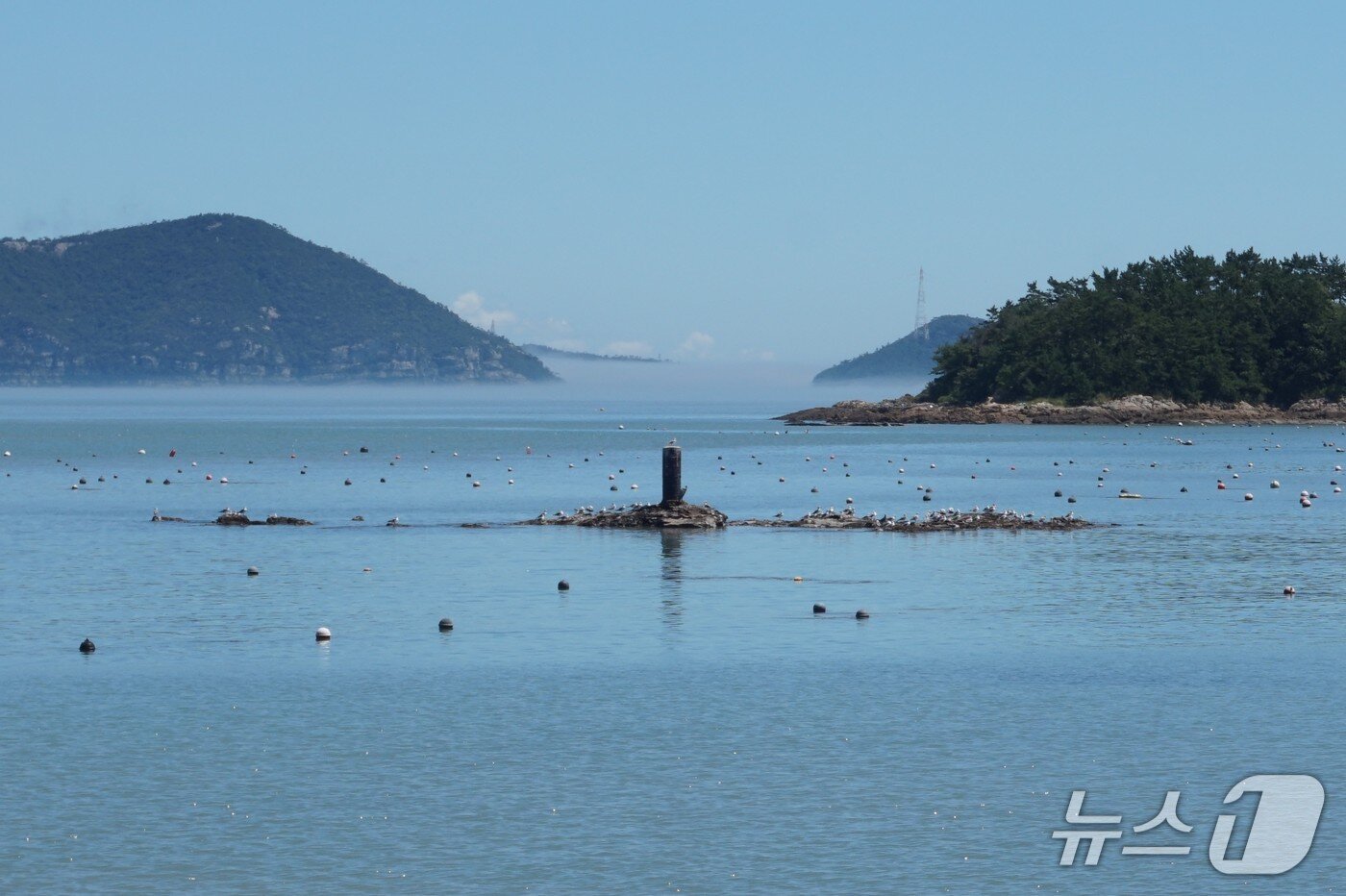 본문 이미지 - 선착장 앞 바다의 암초 &#39;오복여&#39;. 이름과 달리 주민들에게 두려움의 대상이었다.2025.9.19/뉴스1 ⓒ News1 조영석 기자 