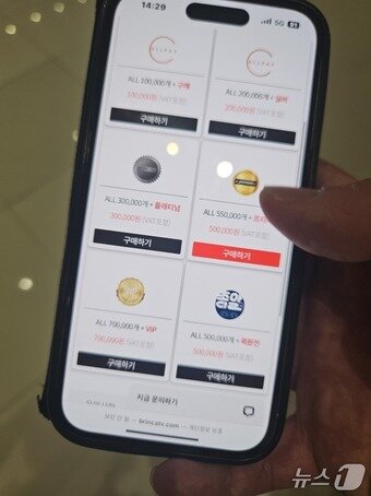 본문 이미지 - 박 모 씨가 접속했던 웹사이트 결제창(박 모 씨 제공)