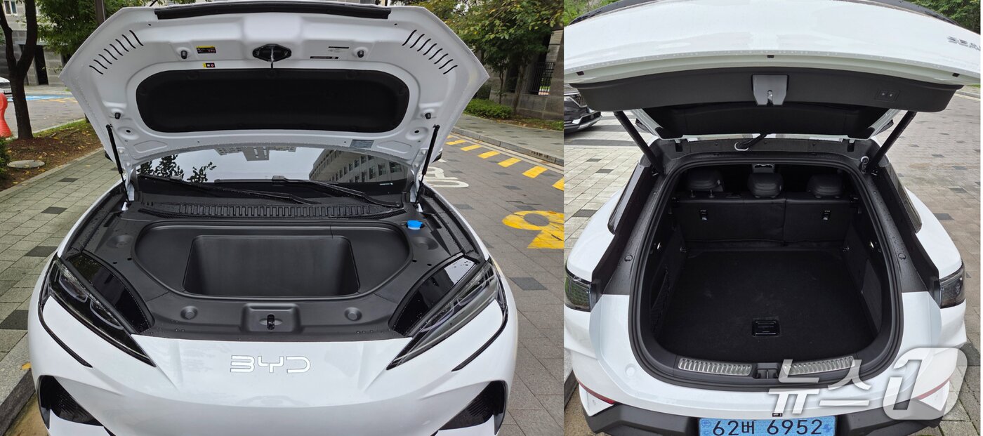 본문 이미지 - 씨라이언 7 프렁크와 트렁크 ⓒ News1 박기범 기자