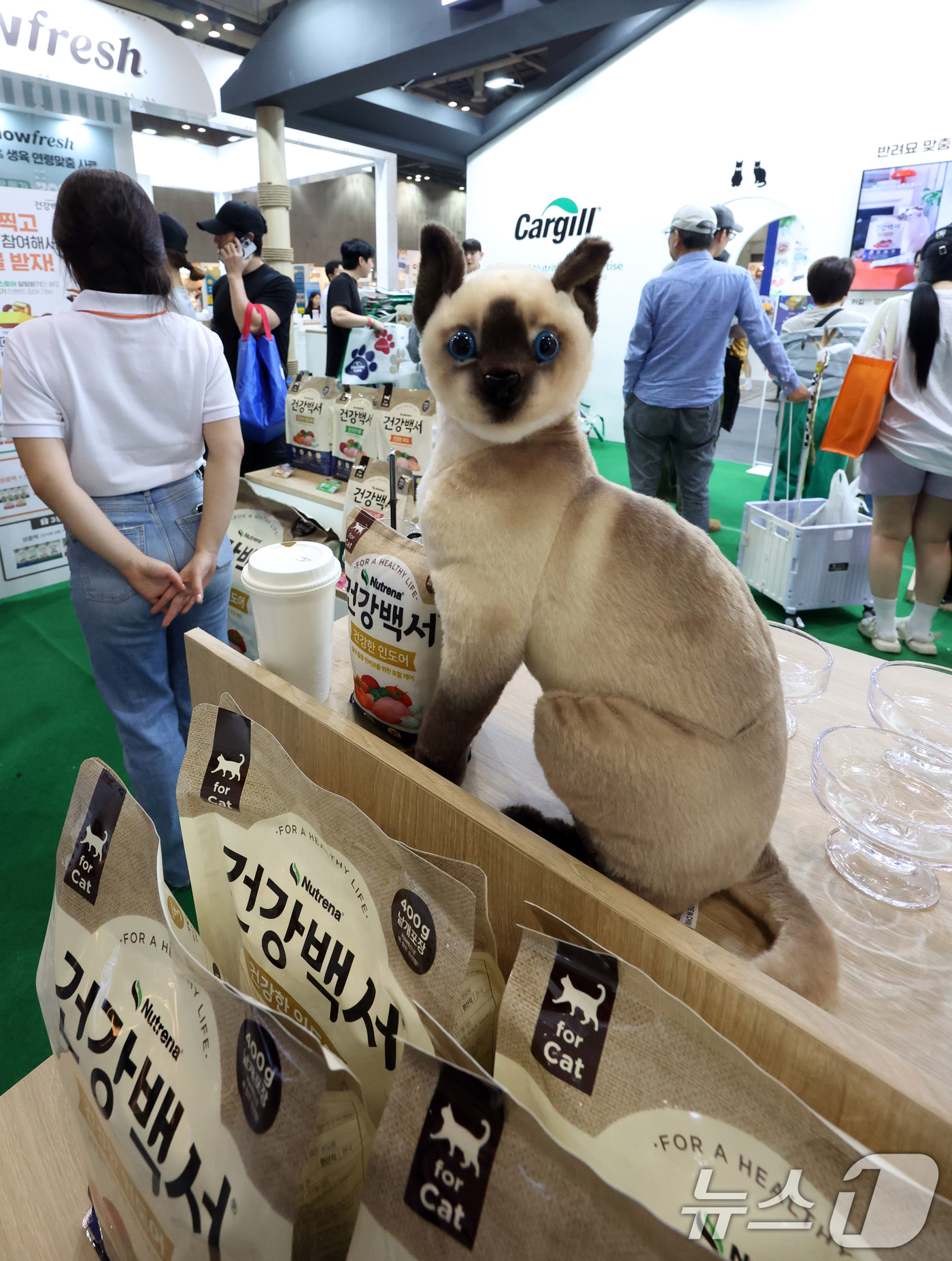 (고양=뉴스1) 김명섭 기자 = 19일 경기도 고양시 킨텍스 제2전시장에서 열린 고양이 산업 전문 박람회 '2025 궁디팡팡 캣페스타'에서 관람객들이 다양한 고양이 관련 제품을 살 …