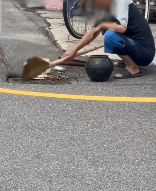 본문 이미지 - &#40;보배드림 갈무리&#41;