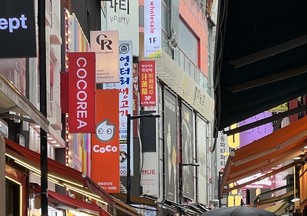 "니혼진데스까?"…명동, 외국인 환자 몰리며 병·의원으로 재편