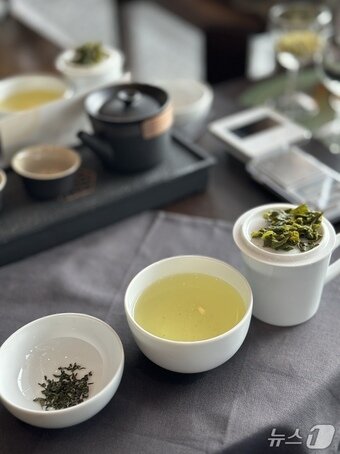 본문 이미지 - 소노캄경주에서 시범 운영한 다도 체험. 2025.9.18/뉴스1 ⓒ News1 윤슬빈 기자