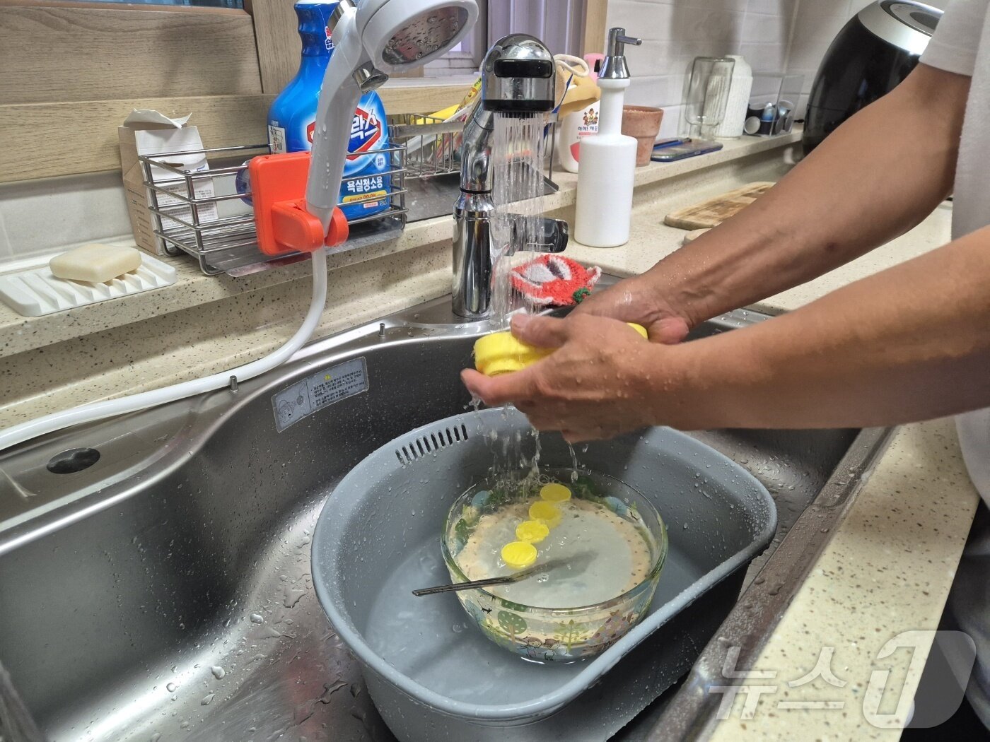 본문 이미지 - 강원 강릉지역 저수조 용량 100톤 이상 아파트 113곳에 대한 시간제 제한급수가 풀린 지난 9월 19일 저녁 강릉 회산동의 한 아파트 주민이 수돗물을 이용해 설거지를 하고 있다. ⓒ News1 윤왕근 기자