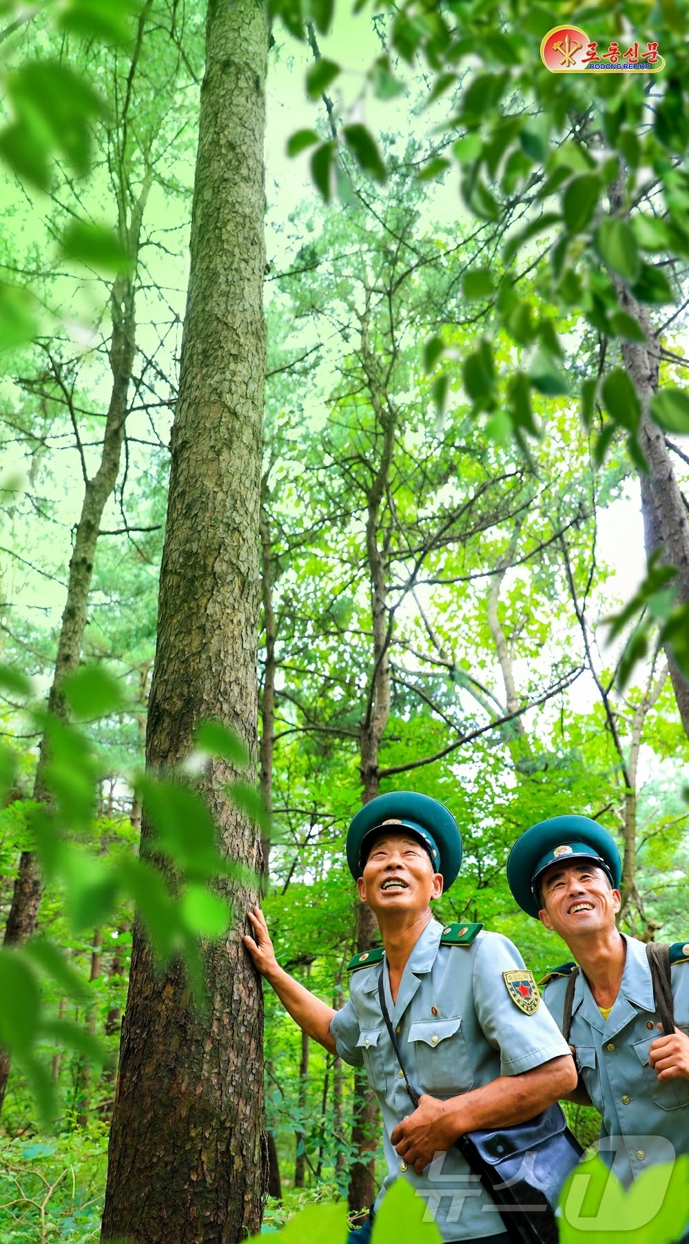 (평양 노동신문=뉴스1) = 북한 노동당 기관지 노동신문은 2일 대성구역 산림경영소 산림감독원들을 조명하며 "농사꾼의 기쁨은 풍요한 가을에 있지만 산림감독원의 기쁨은 푸른 숲의 설 …