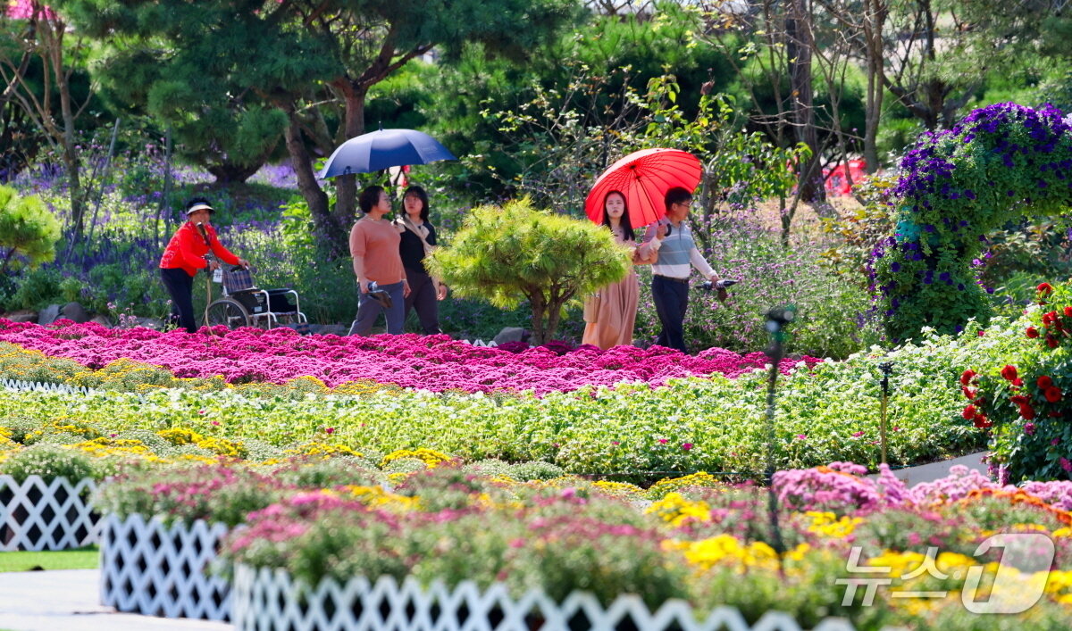 본문 이미지 - 2023년 10월 개최된 가을꽃박람회장에 가족·연인과 함께 가을꽃 향연을 만끽하고 있다.(태안군 제공. 재판매 및 DB금지)2025.9.2/뉴스1