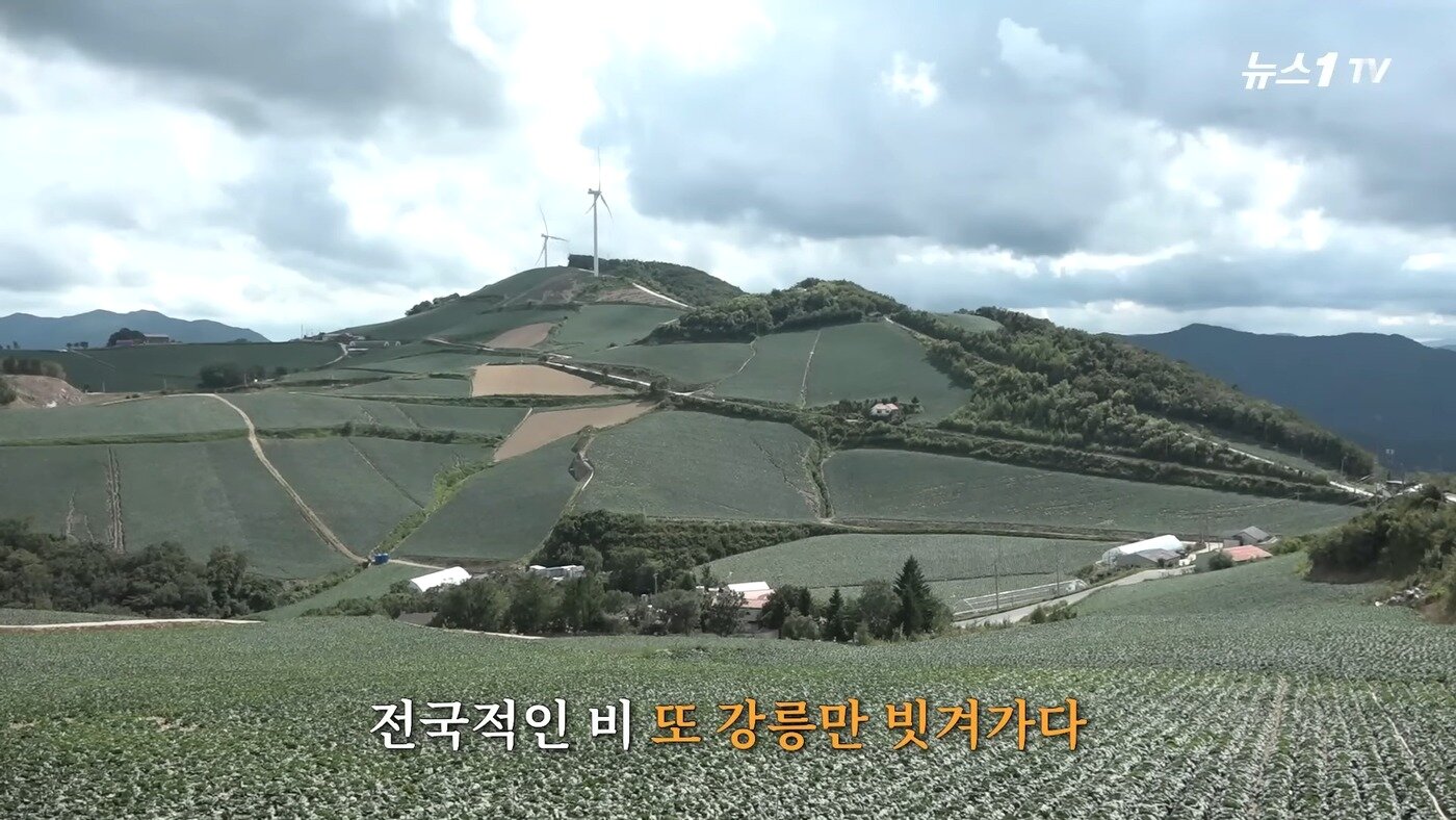 본문 이미지 - &#40;뉴스1TV 갈무리&#41;