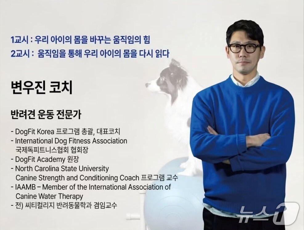 본문 이미지 - 내강내고 포스터 ⓒ 뉴스1