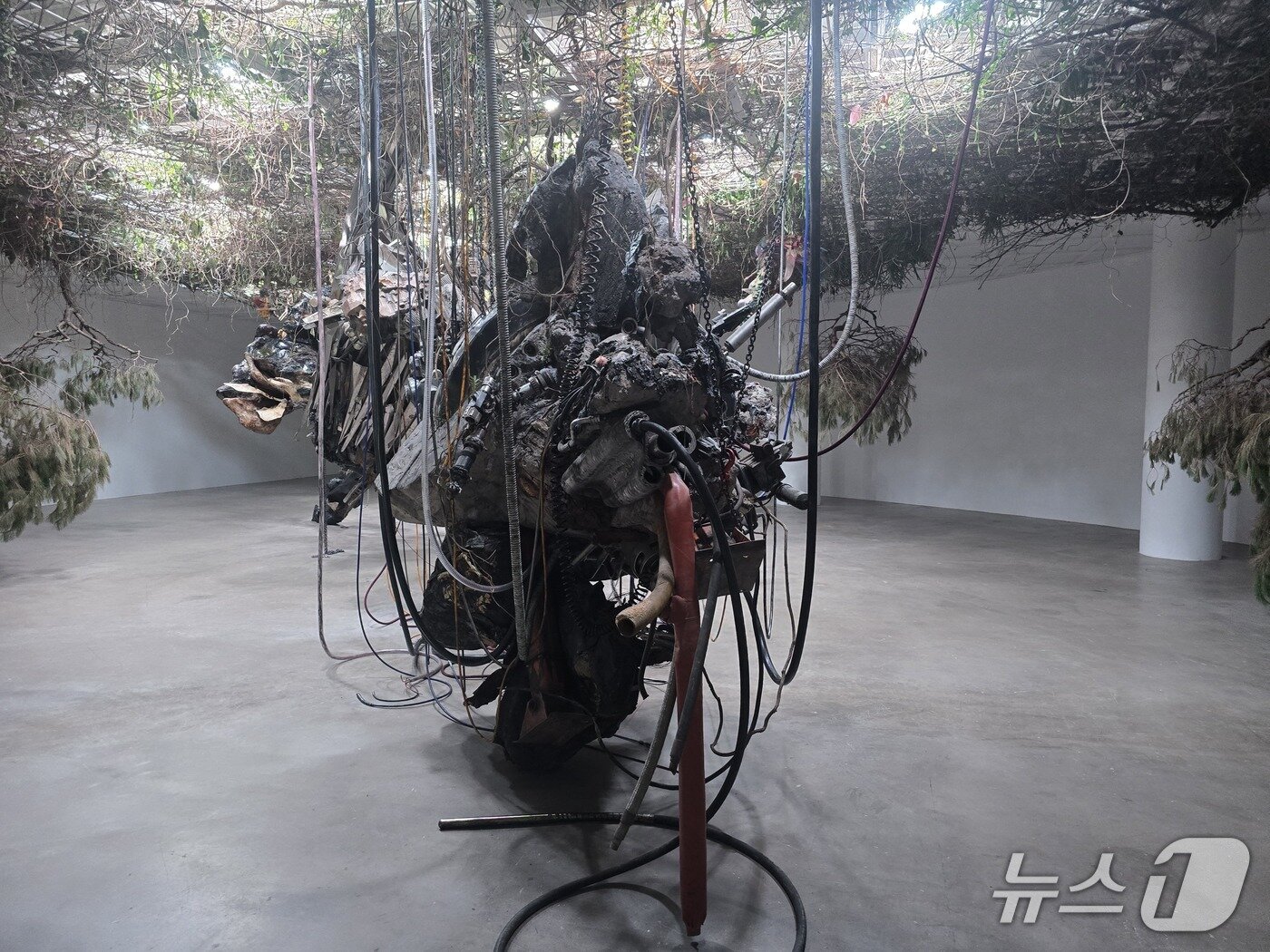 본문 이미지 - '아드리안 비야르 로하스: 적군의 언어'전 전시 전경. ⓒ 뉴스1 김정한 기자