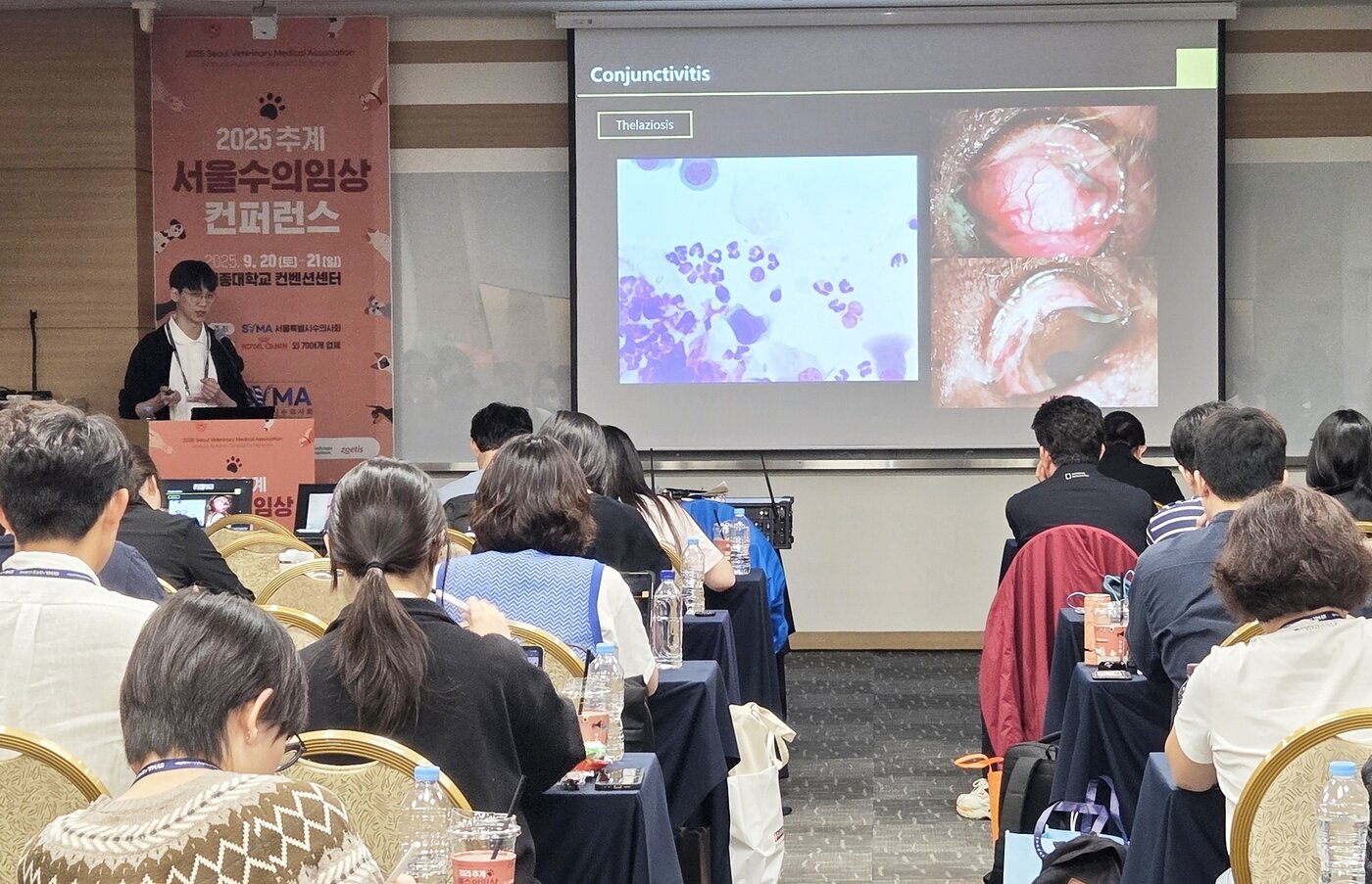 본문 이미지 - 박상현 헬릭스메디컬센터 안과 과장이 2025 서울수의임상콘퍼런스에서 강연하고 있다. ⓒ 뉴스1 한송아 기자