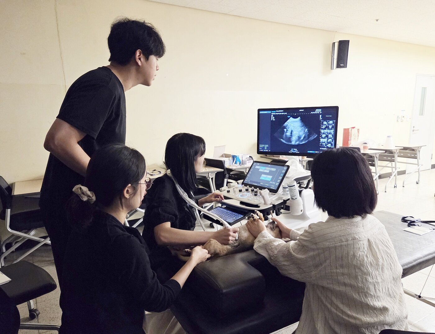 본문 이미지 - 2025 서울수의임상콘퍼런스 복부초음파 실습 현장 ⓒ 뉴스1 한송아 기자
