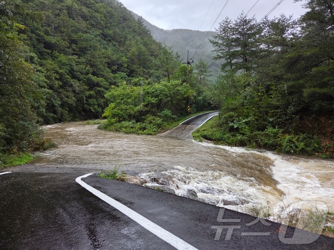 (정선=뉴스1) 윤왕근 기자 = 강원 정선 일대에 80㎜ 안팎의 비가 내린 20일 오전 7시 25분쯤 정선 화암면 북동교의 한 계곡 인근 도로가 범람했다. 이로 인해 60대 성묘객 …