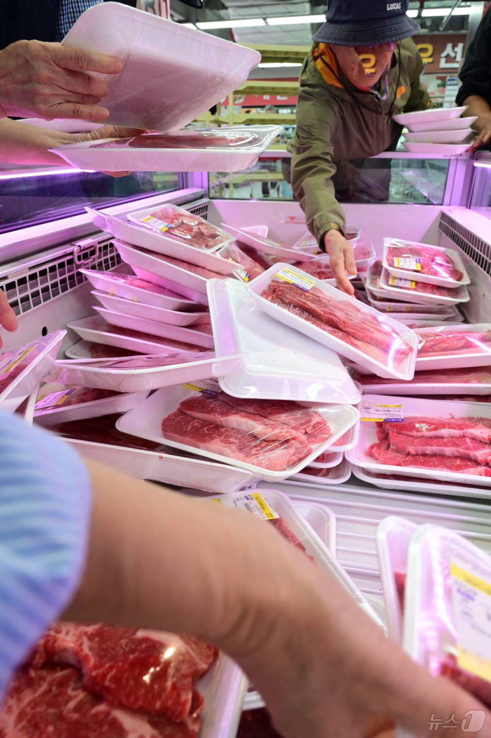 (서울=뉴스1) = 농협 하나로마트를 운영하는 농협유통은 추석을 보름 앞둔 9월 21일부터 23일까지 단 3일간, 하나로마트 창동점에서 한우를 최대 40% 할인 구매할 수 있는 ‘ …