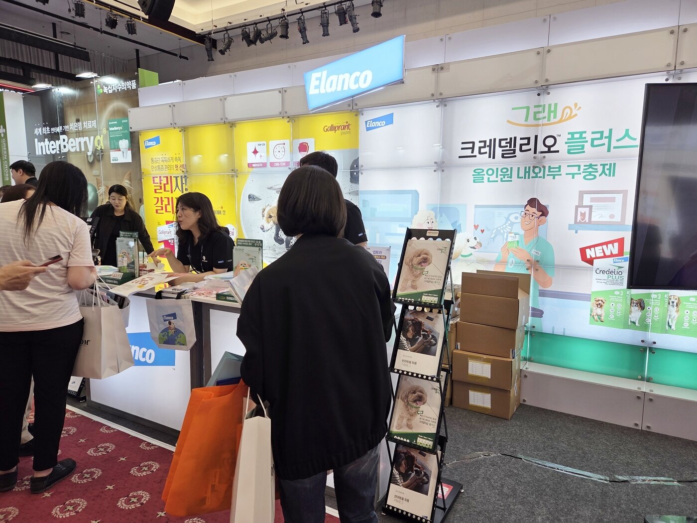 본문 이미지 - 엘랑코는 2025 추계 서울수의임상컨퍼런스에 참가해 신제품을 소개했다. ⓒ 뉴스1 한송아 기자