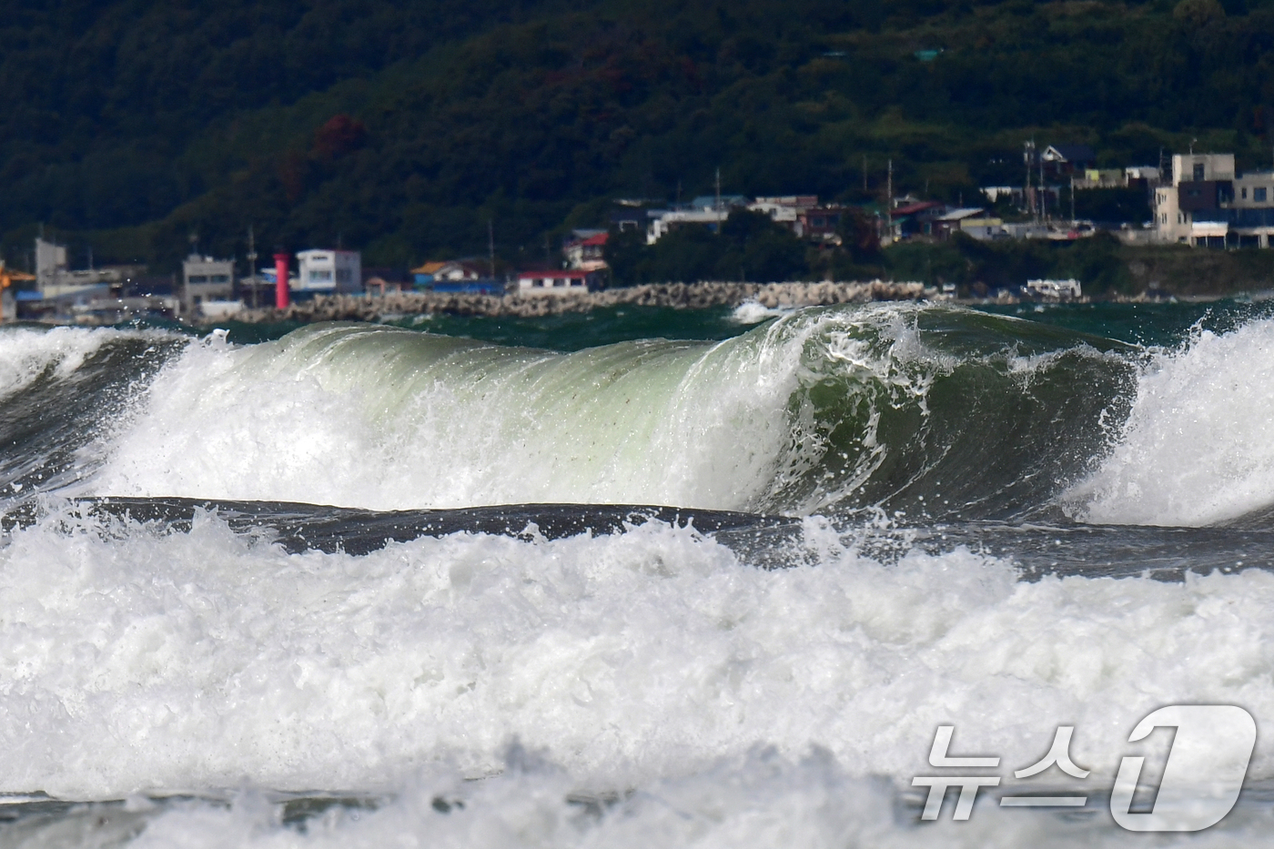 (포항=뉴스1) 최창호 기자 = 21일 경북 포항시 북구 흥해읍 용한리 앞 바다에서 집채만한 파도가 해안으로 밀려들고 있다. 2025.9.21/뉴스1