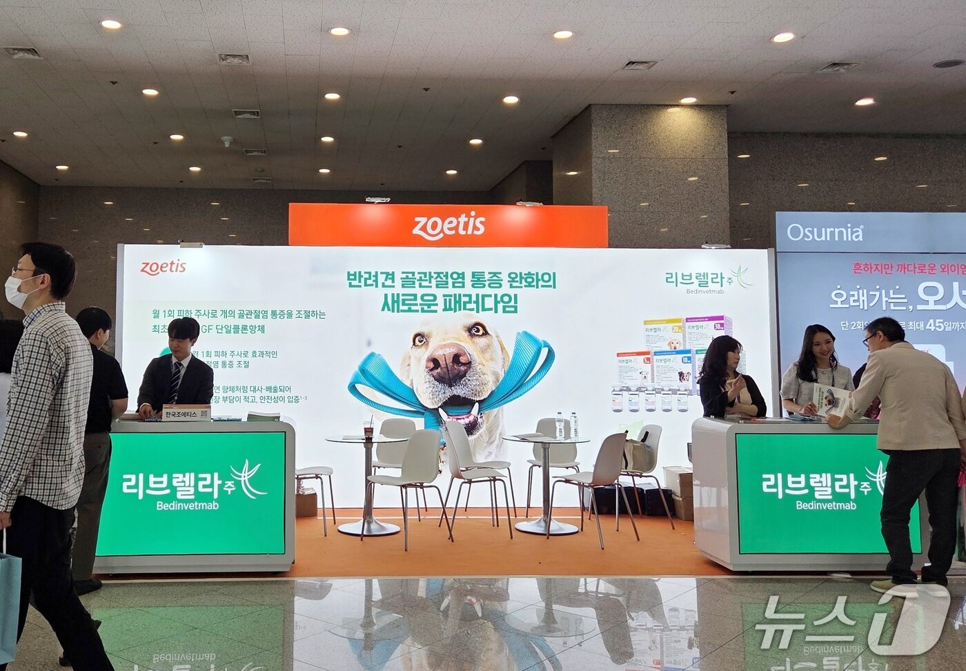 본문 이미지 - 한국조에티스는 21일 2025 추계 서울수의임상컨퍼런스에 참가해 리브렐라 제품을 소개했다. ⓒ 뉴스1 최서윤 기자